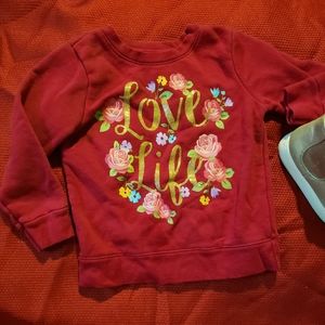 2T girls garanimals pullover